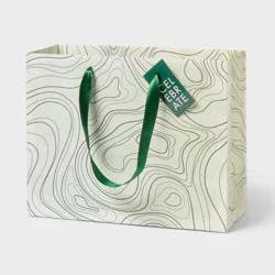 Small Swirl Design Birthday Gift Bag with Tag Green - Spritz™