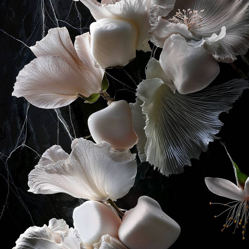 slide 7 of 10, fine'ry. Eau de Parfum Women's Perfume - No Prince Required - 2 fl oz, 2 fl oz