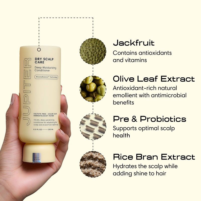 slide 7 of 7, Jupiter Dry Scalp Care Deep Moisturizing Conditioner - 8.5 fl oz, 8.5 fl oz