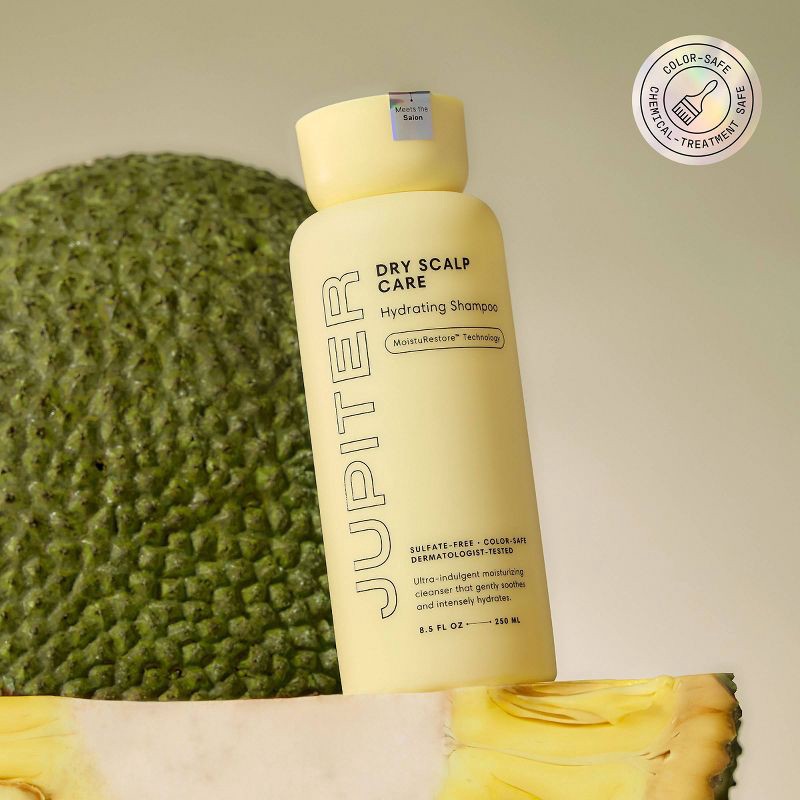 slide 2 of 8, Jupiter Dry Scalp Care Hydrating Shampoo - 8.5 fl oz, 8.5 fl oz
