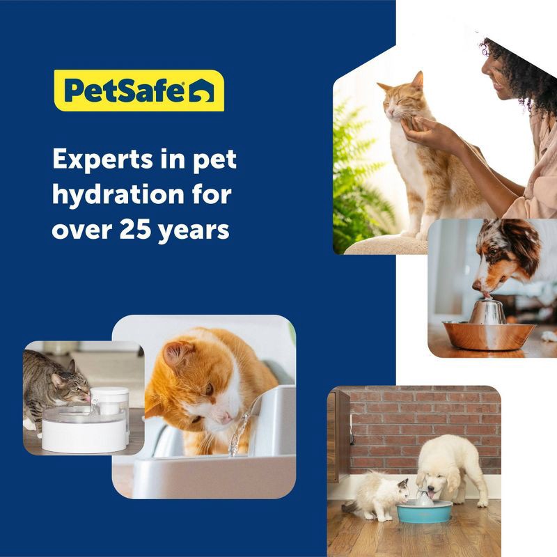 slide 6 of 6, PetSafe 4pk Dog and Cat IonX Automated Fountain Filter, 4 ct
