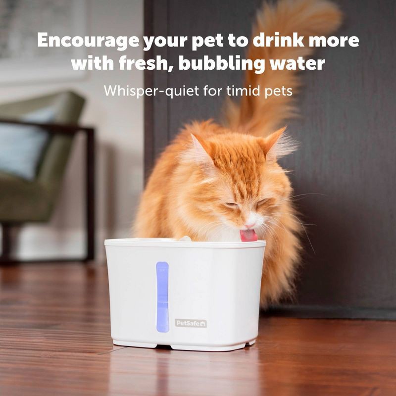 slide 6 of 7, PetSafe 64oz Viva Plastic Dog and Cat Automated Fountain, 64 oz