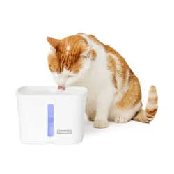 PetSafe 64oz Viva Plastic Dog and Cat Automated Fountain
