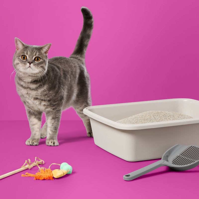 slide 2 of 5, Lightweight Scented Clumping Cat Litter - 13.5lbs - up&up™, 13.5 lb