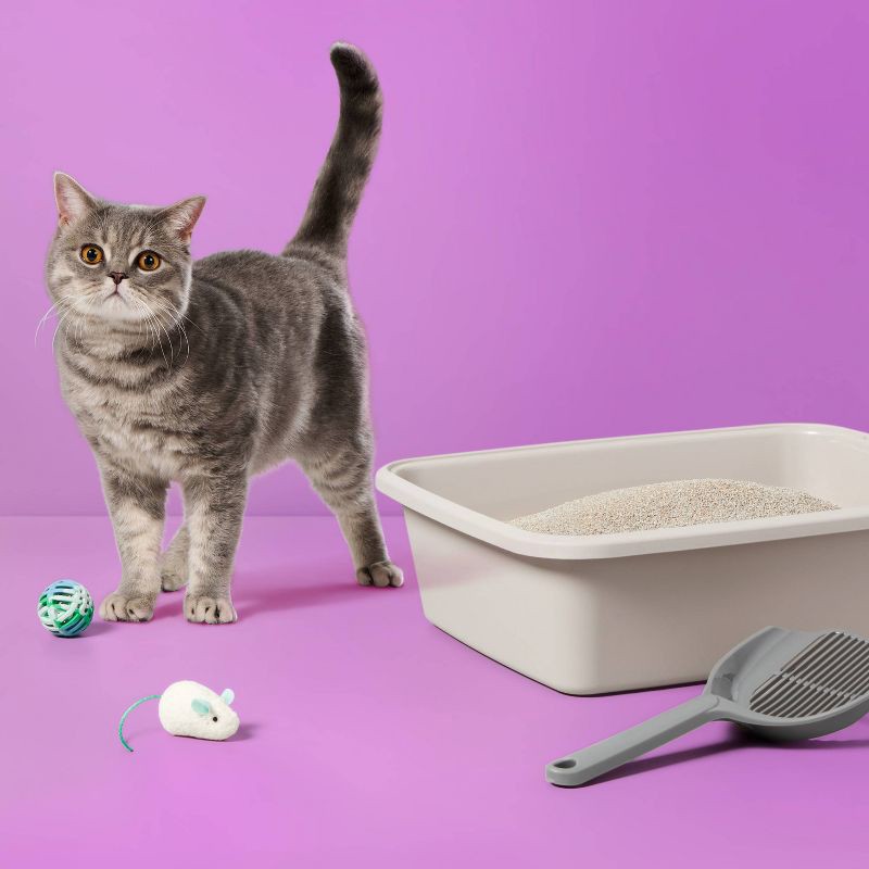 slide 2 of 5, Lightweight Unscented Fragrance Free with Baking Soda Clumping Cat Litter - 7.5lbs - up&up™, 7.5 lb