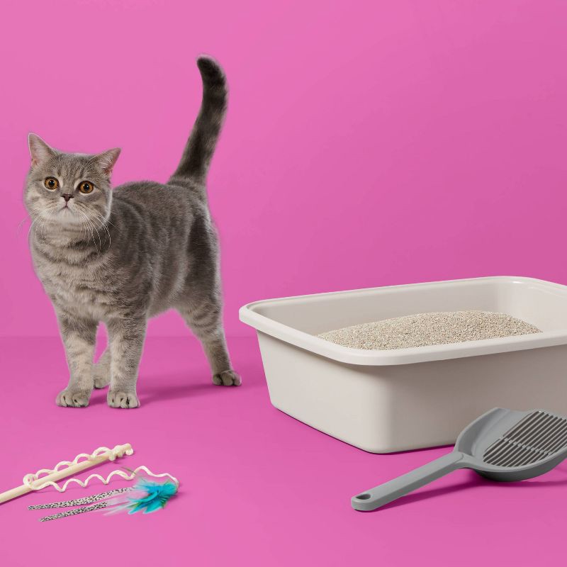 slide 2 of 5, Lightweight Scented Clumping Cat Litter - 7.5lbs - up&up™, 7.5 lb