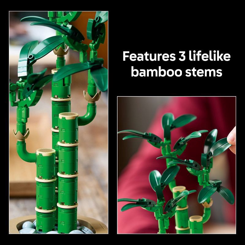 slide 4 of 6, LEGO Botanicals Lucky Bamboo Building Set for Adults, Decor for Home or Office 10344, 1 ct