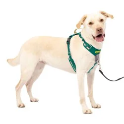 PetSafe Comfort No Pull Adjustable Dog Harness - L - Green: Nylon Material, Buckle Closure, For All Ages, 75-130 lb Capacity