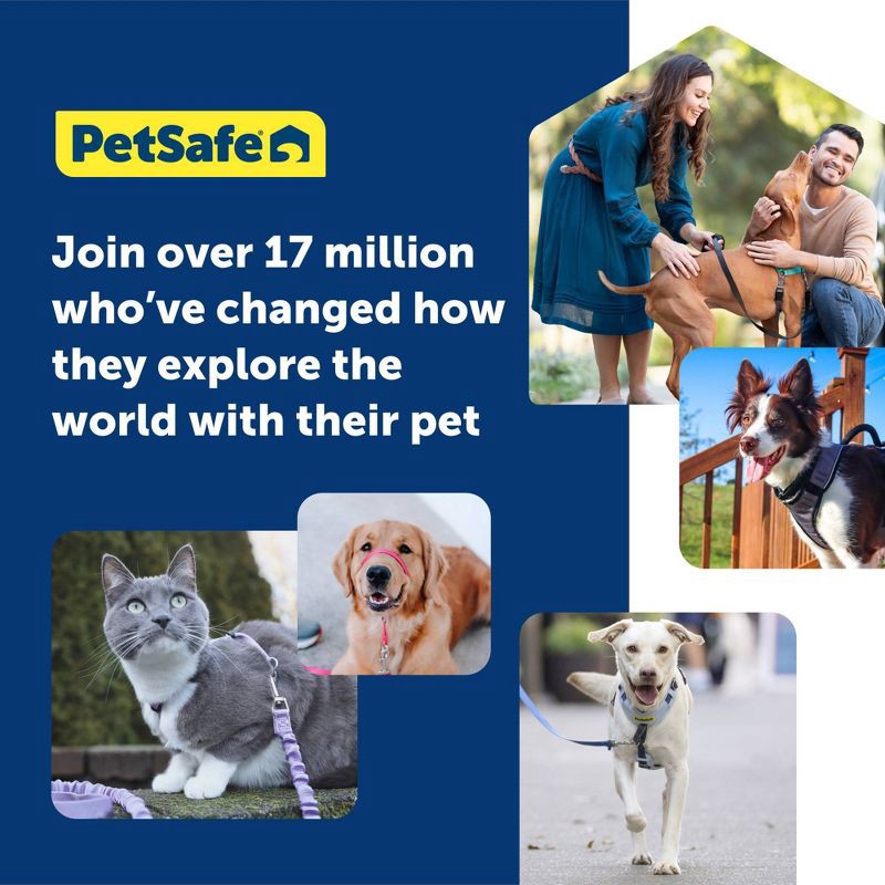 slide 8 of 8, PetSafe Comfort No Pull Adjustable Dog Harness - S - Green, 1 ct