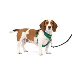 PetSafe Comfort No Pull Adjustable Dog Harness - S - Green: Nylon, Buckle Closure, Small, All Ages