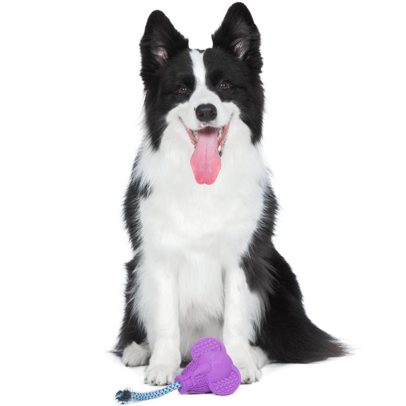 slide 4 of 5, Arm & Hammer 3.34" Treadz Large Elephant Dog Rope Plush Toy - Purple, 1 ct
