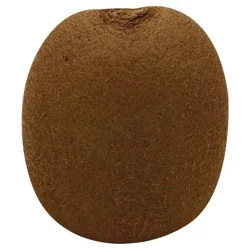 Green Kiwi Fruit