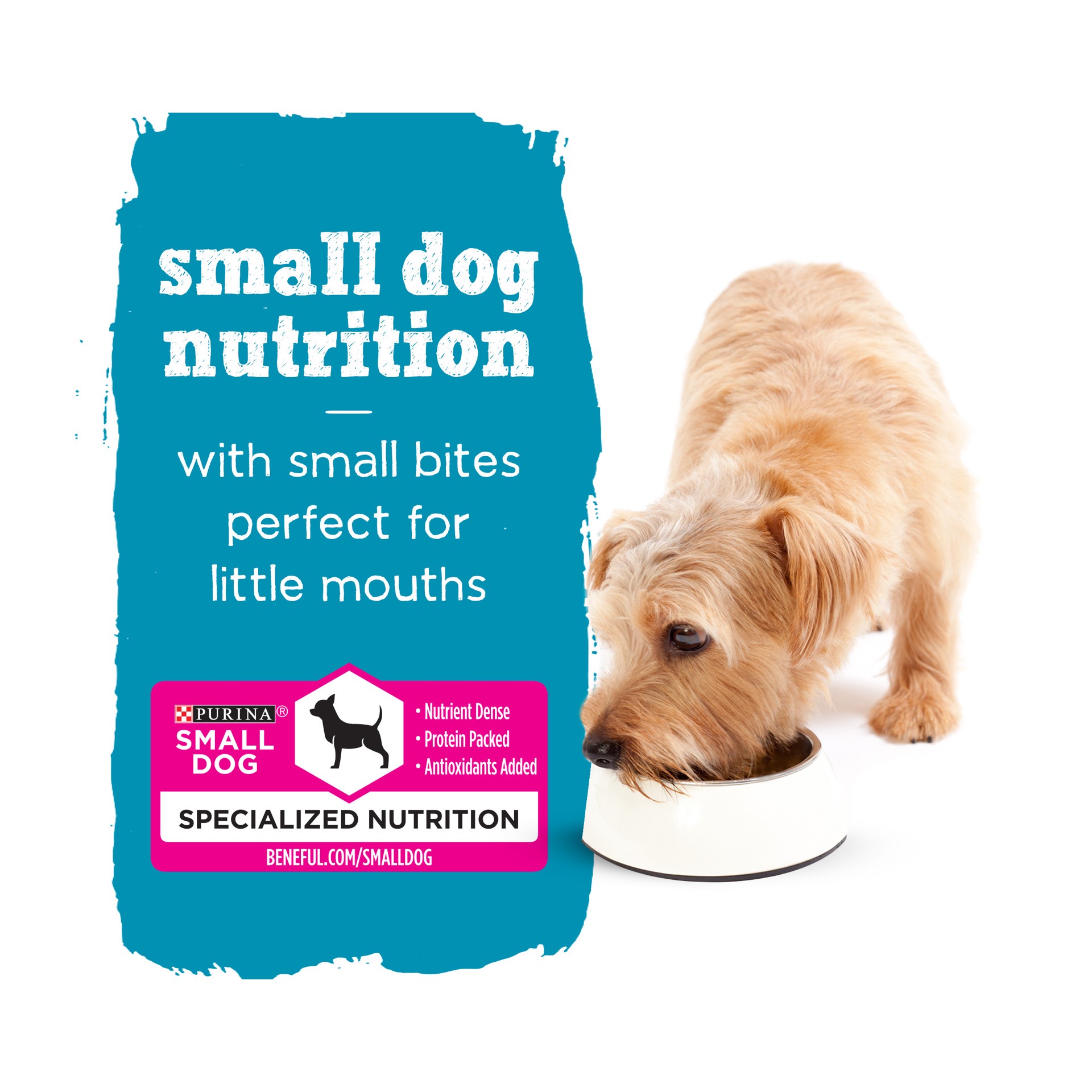 Purina beneful best sale for small dogs