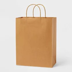 Large Cub Kraft Gift Bag Natural - Spritz™
