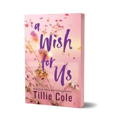 Sourcebooks A Wish for Us (Deluxe Edition) - by Tillie Cole (Paperback)
