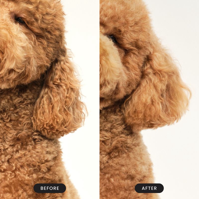 slide 8 of 9, Tangle Teezer Pet Teezer Large Dog Grooming Brush - Navy Blue, 1 ct