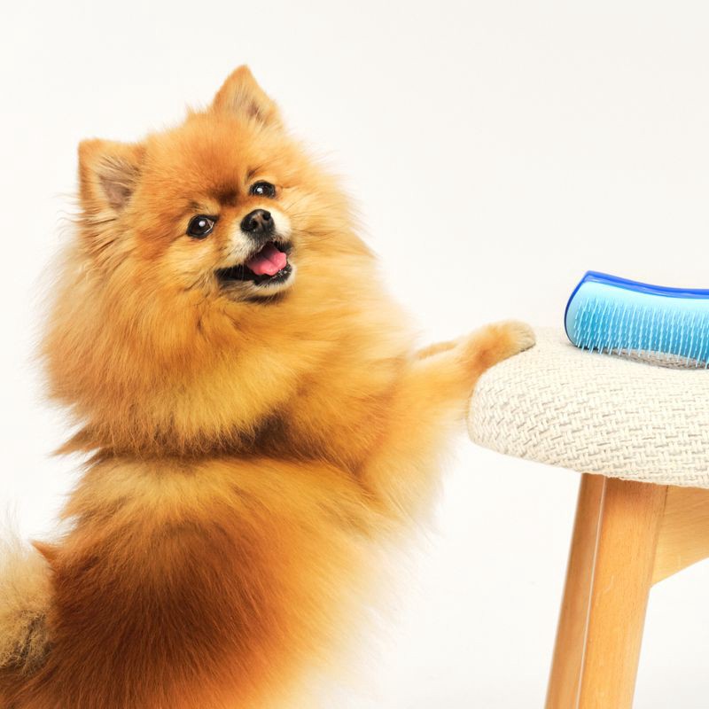 slide 7 of 9, Tangle Teezer Pet Teezer Small De-Shedding Dog Grooming Brush - Blue, 1 ct
