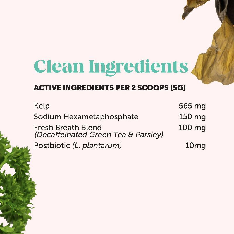 slide 13 of 14, Pet Honesty Fresh Breath Dental Powder Mint Flavor for Dogs - 5.29oz, 5.29 oz