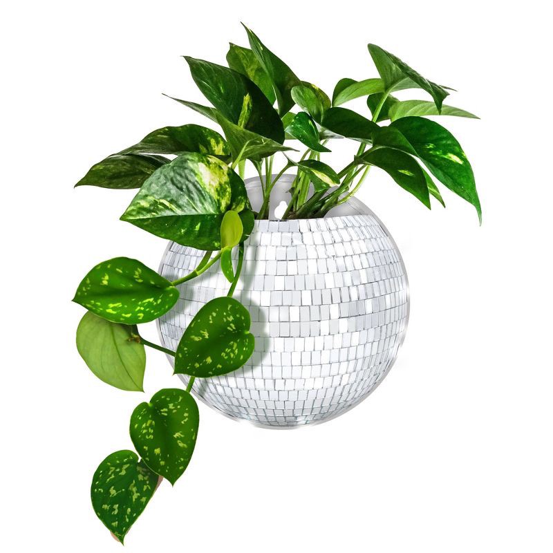slide 5 of 6, NPW Disco Planter Gifting, 1 ct