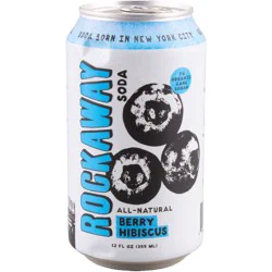 Rockaway Tidal Defense