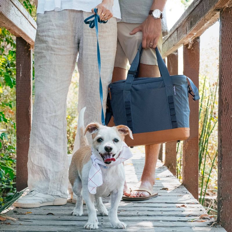 slide 17 of 17, CleverMade Collapsible Tahoe 30 Cans Soft Sided Cooler - Ocean: Water-Resistant with Adjustable Straps, 30 cans