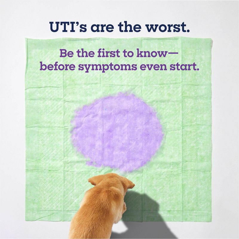 slide 3 of 10, Pet Life Unlimited Health Tracker Dog Pads - 20ct, 20 ct