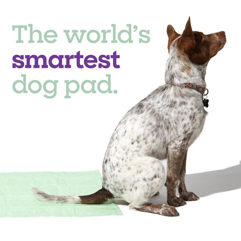 slide 5 of 10, Pet Life Unlimited Health Tracker Dog Pads - 20ct, 20 ct