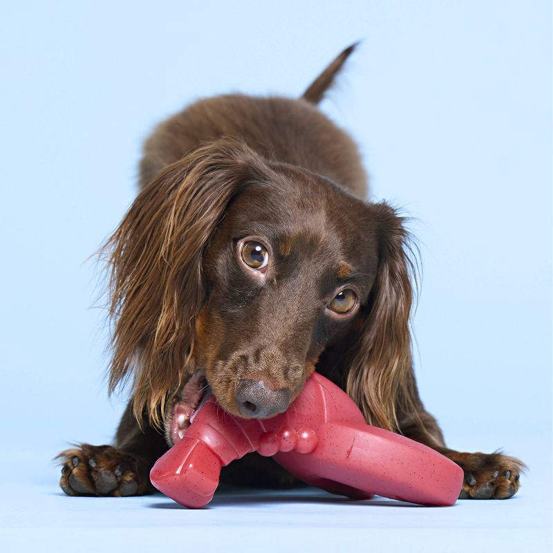 slide 3 of 5, BARK Red Gnawbster Under the Seams Dog Animal Toy, 1 ct