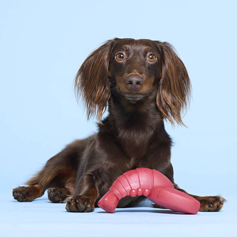 slide 4 of 5, BARK Red Gnawbster Under the Seams Dog Animal Toy, 1 ct