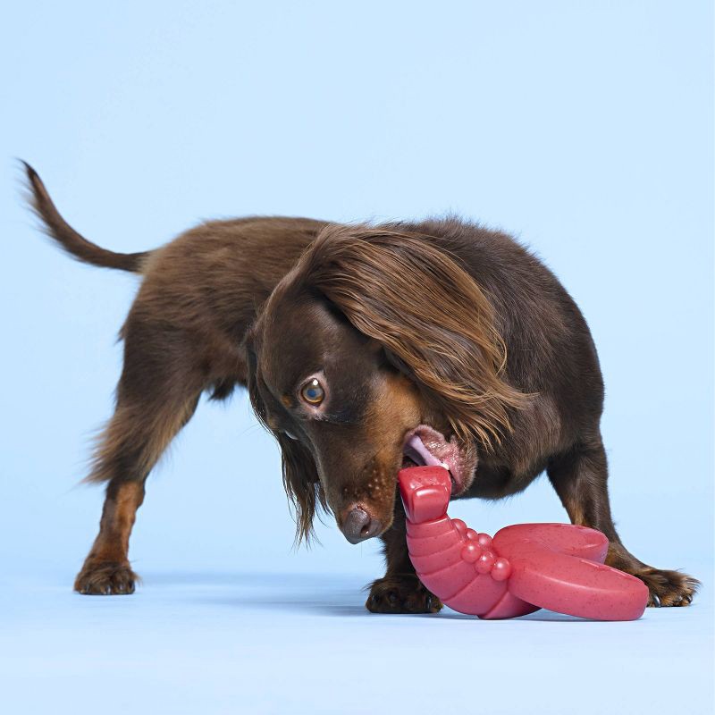 slide 5 of 5, BARK Red Gnawbster Under the Seams Dog Animal Toy, 1 ct