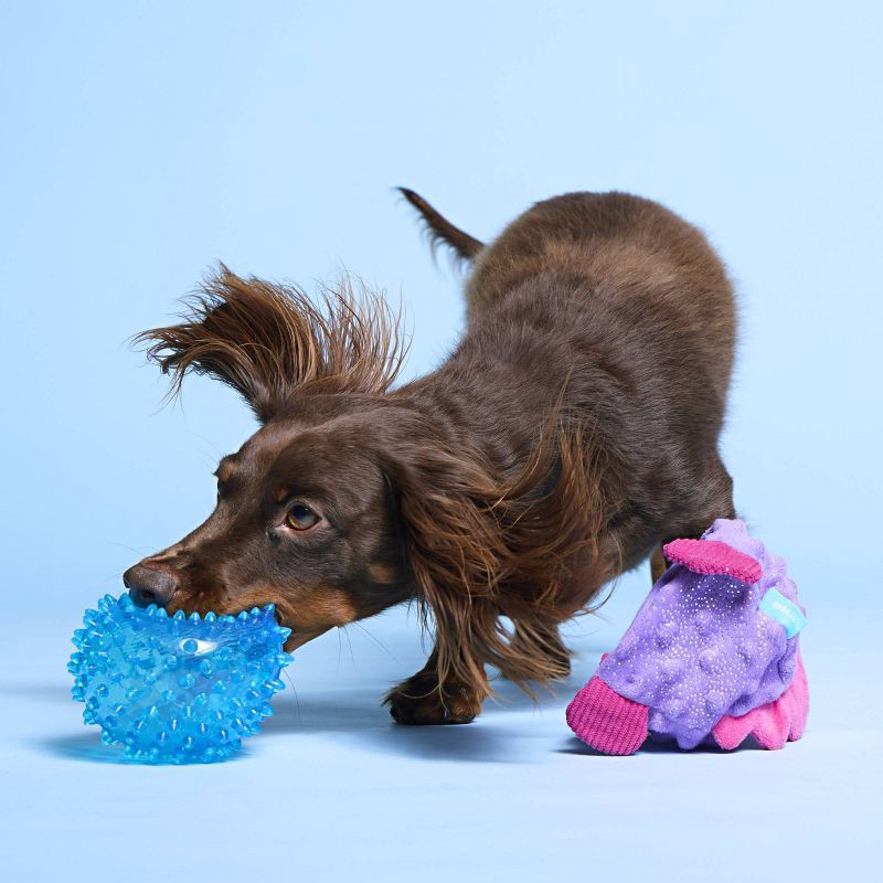 slide 7 of 8, BARK Under the Seams Spike the Blowfish Dog Animal Ball Toy, 1 ct
