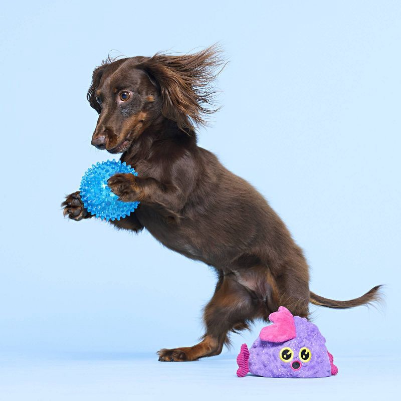 slide 8 of 8, BARK Under the Seams Spike the Blowfish Dog Animal Ball Toy, 1 ct