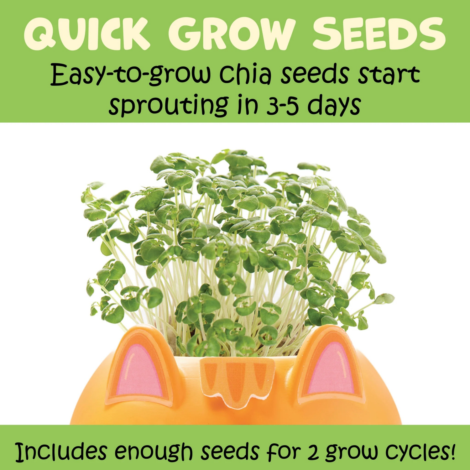 slide 3 of 8, CREATIVITY FOR KIDS Plant a Pet Kitty, 1 ct