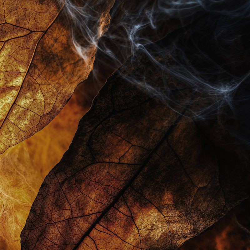 slide 6 of 8, fine'ry. Men's Travel Size Eau De Cologne - Smoke & Leather - 2 fl oz, 2 fl oz