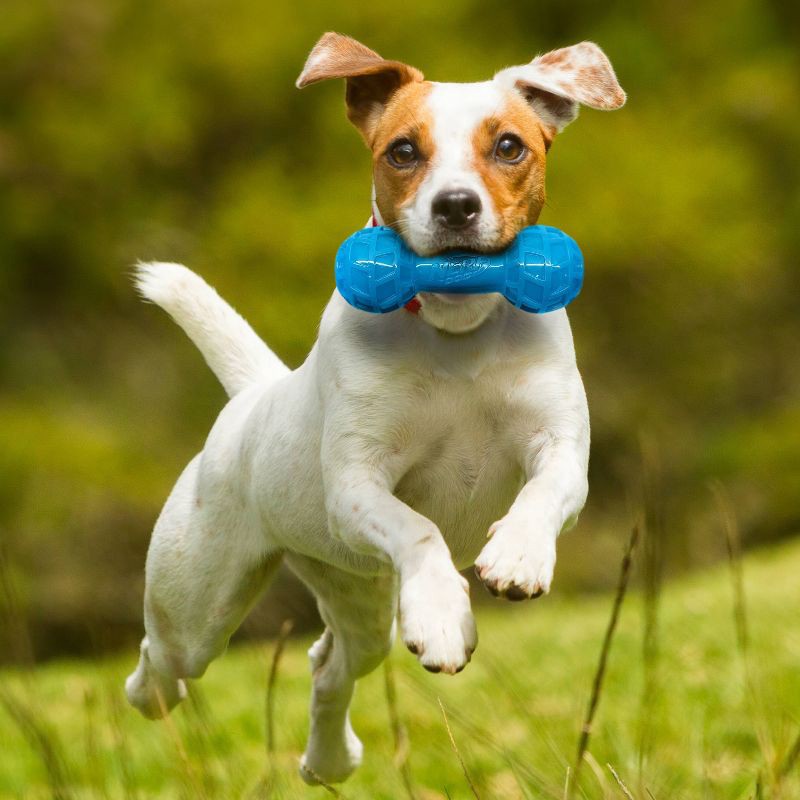 slide 6 of 6, NERF EXO Squeak Dog Barbell Toy, 1 ct