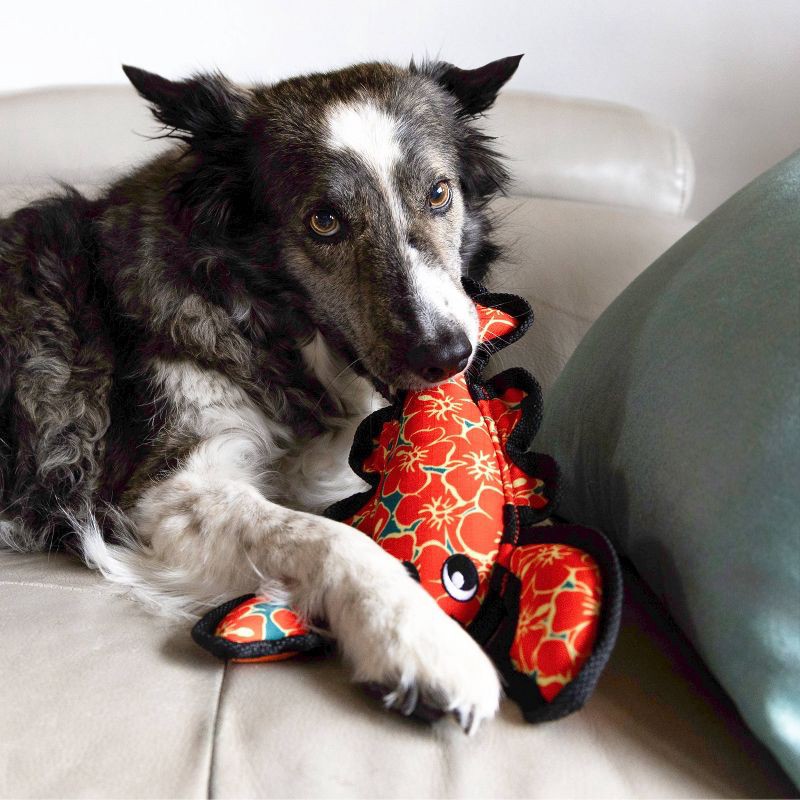 slide 4 of 4, KONG Hibiscus Lobster Ballistic Dog Animal Toy, 1 ct