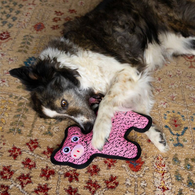 slide 4 of 4, KONG Pig FlyKnit Ballistic Dog Animal Toy, 1 ct