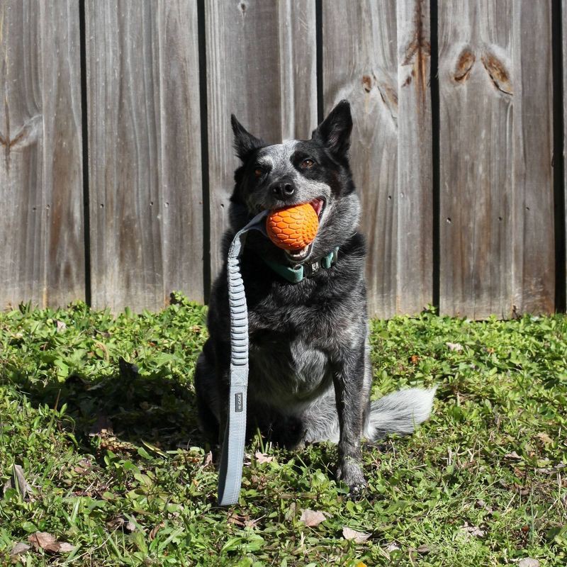slide 3 of 4, N-Gage Classic Bungee Handler Dog Ball Toy, 1 ct