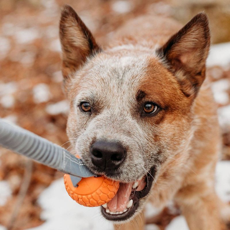 slide 4 of 4, N-Gage Classic Bungee Handler Dog Ball Toy, 1 ct