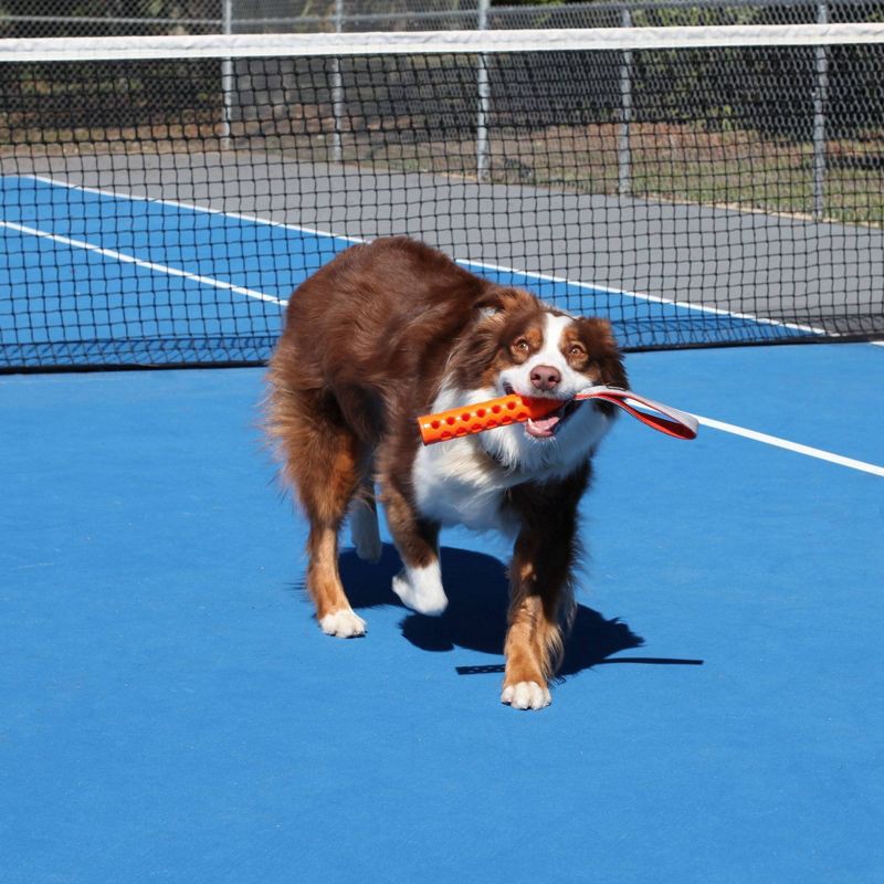 slide 3 of 4, N-Gage 2" Active Bumper Dog Stick Toy, 1 ct