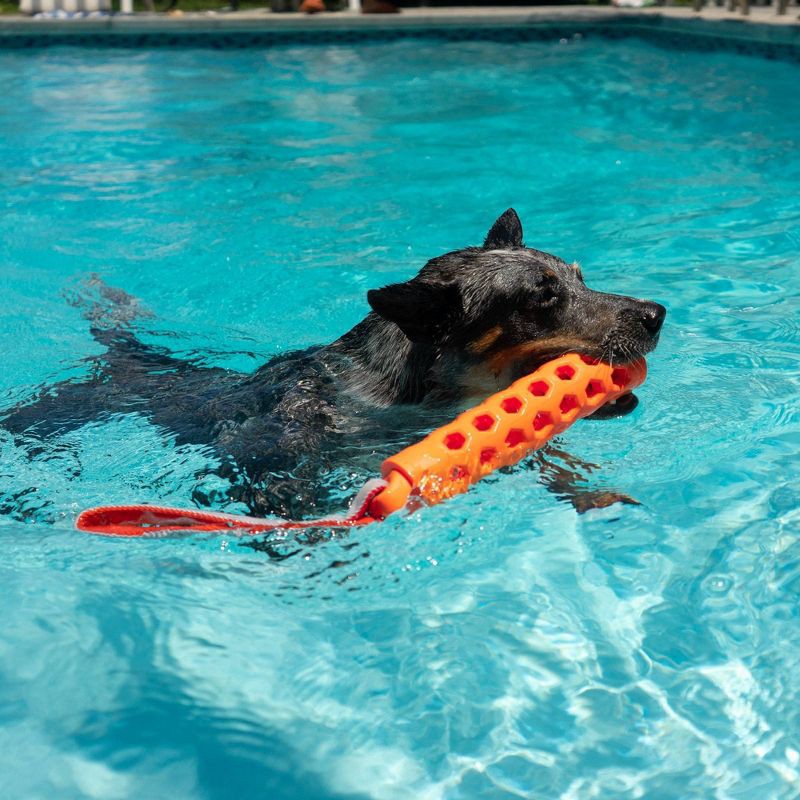 slide 4 of 4, N-Gage 2" Active Bumper Dog Stick Toy, 1 ct