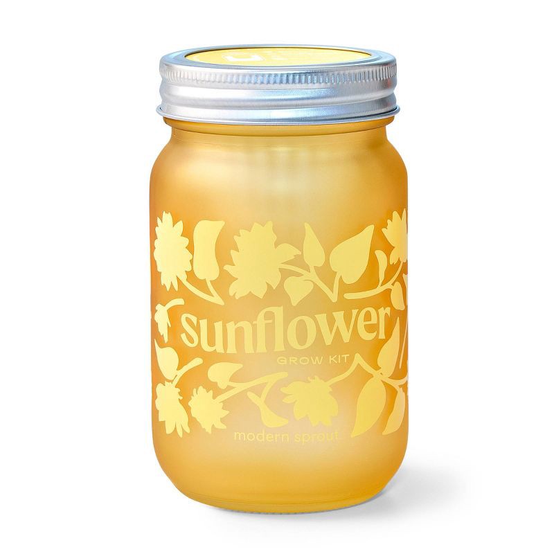 slide 2 of 6, Modern Sprout Sunflower Yellow Pint Jar Grow Kit, 1 ct