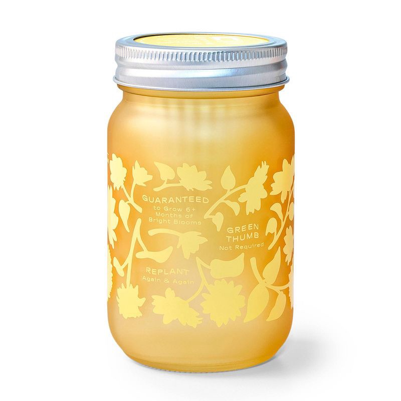 slide 5 of 6, Modern Sprout Sunflower Yellow Pint Jar Grow Kit, 1 ct