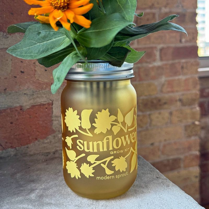 slide 6 of 6, Modern Sprout Sunflower Yellow Pint Jar Grow Kit, 1 ct