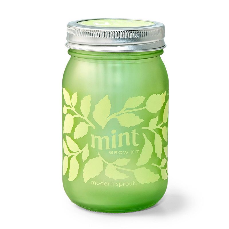slide 2 of 4, Modern Sprout Mint Green Pint Jar Grow Kit, 1 ct