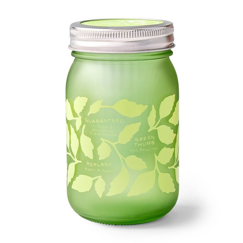 slide 4 of 4, Modern Sprout Mint Green Pint Jar Grow Kit, 1 ct