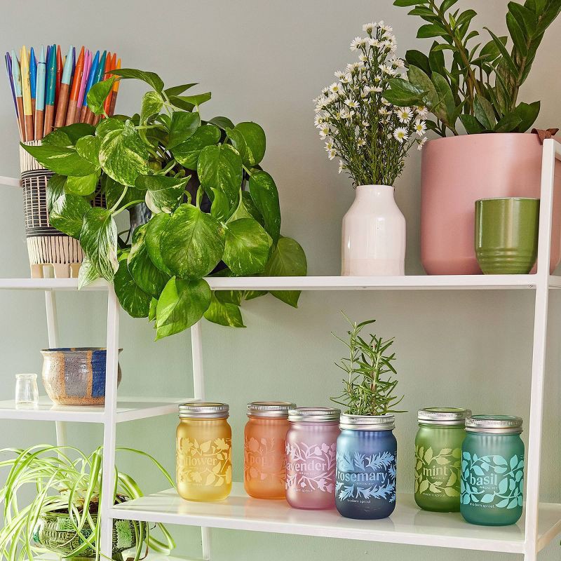 slide 3 of 6, Modern Sprout Basil Green Pint Jar Grow Kit, 1 ct