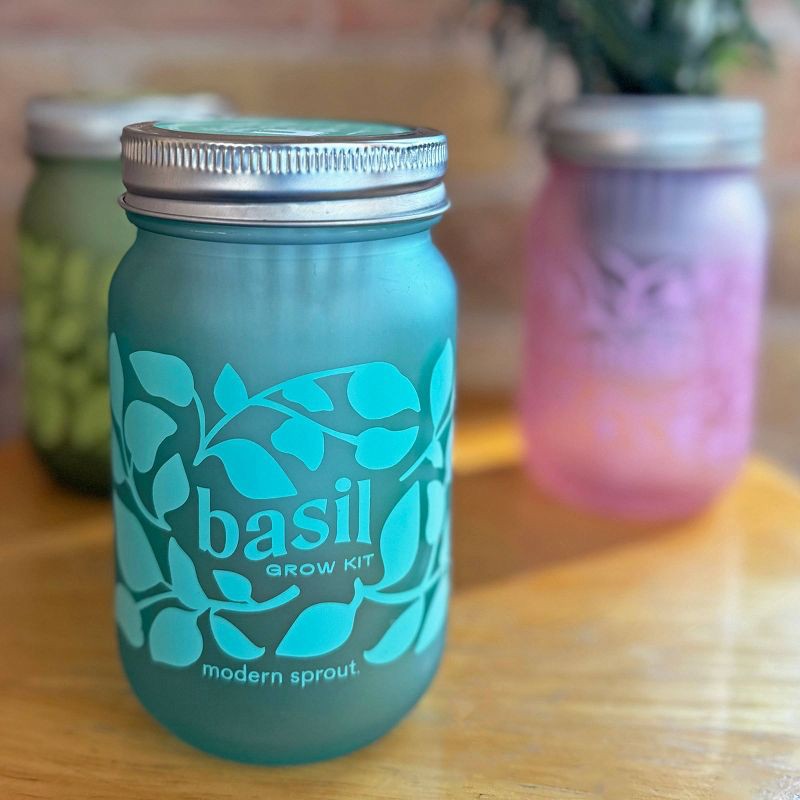 slide 4 of 6, Modern Sprout Basil Green Pint Jar Grow Kit, 1 ct