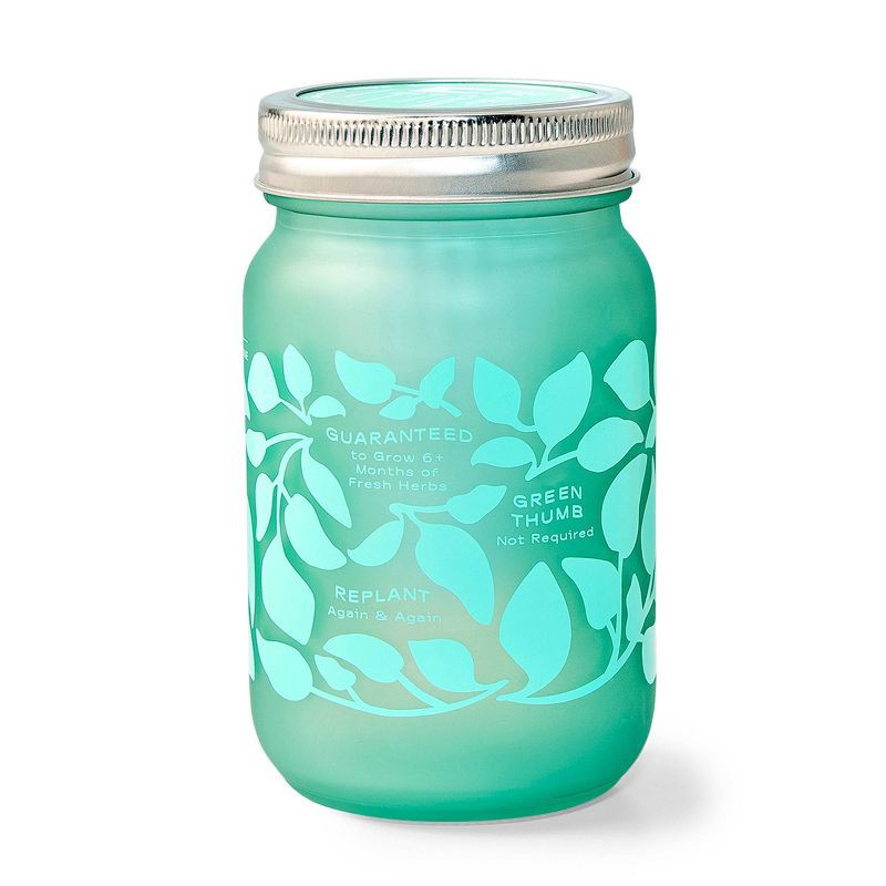 slide 6 of 6, Modern Sprout Basil Green Pint Jar Grow Kit, 1 ct