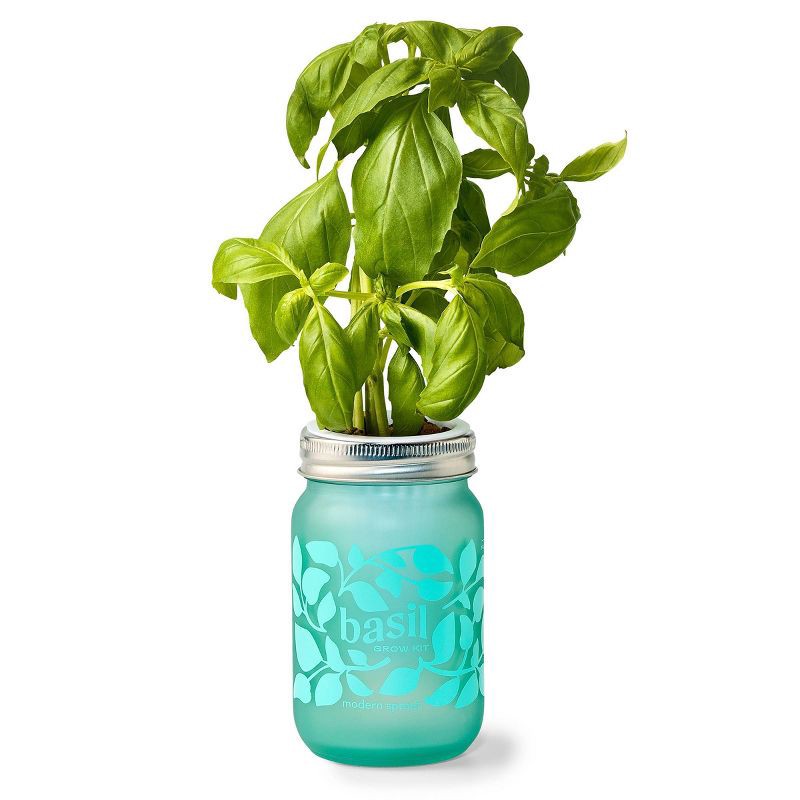 slide 1 of 6, Modern Sprout Basil Green Pint Jar Grow Kit, 1 ct